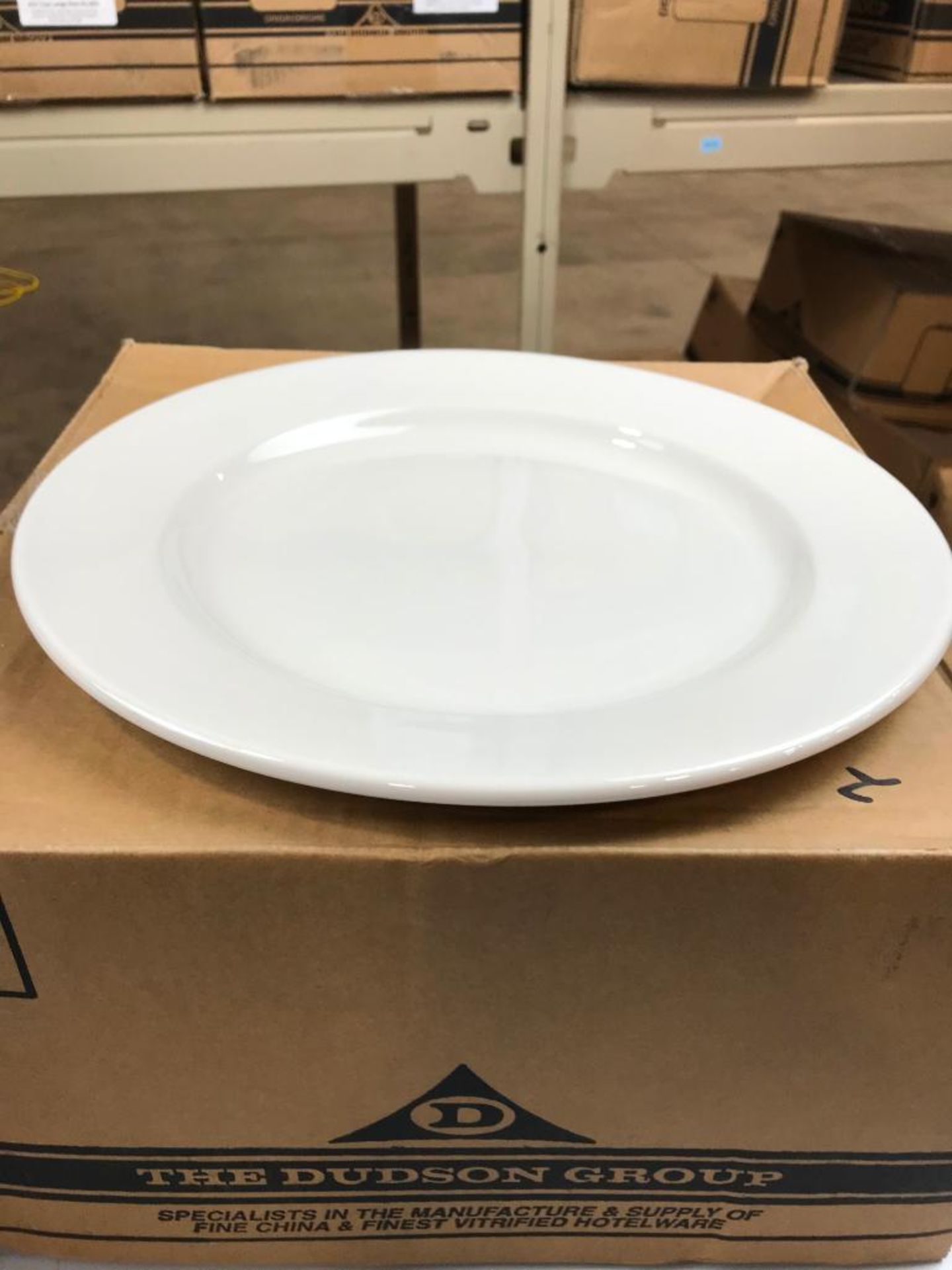 2 CASES OF DUDSON CLASSIC PLATE 12.5" - 12/CASE, MADE IN ENGLAND - Image 4 of 6