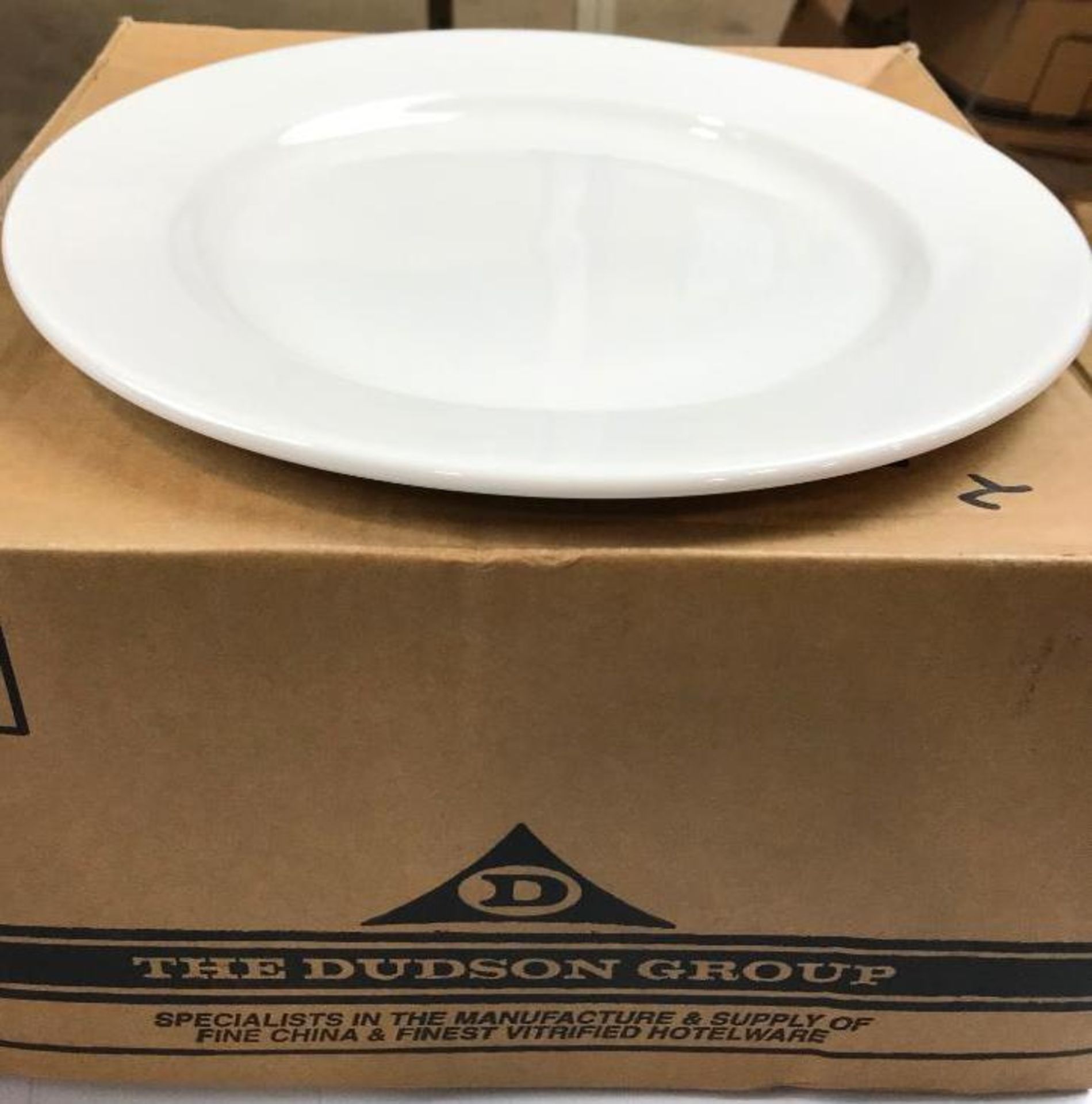 2 CASES OF DUDSON CLASSIC PLATE 12.5" - 12/CASE, MADE IN ENGLAND - Image 2 of 6