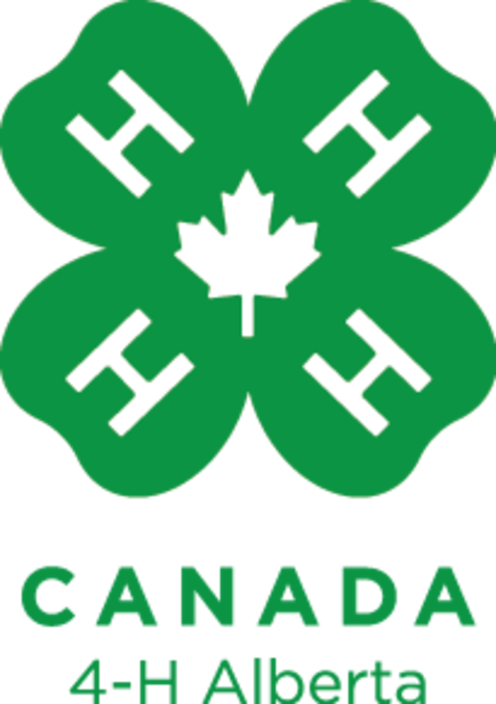 Bon Accord 4-H Online Steer Auction Sale