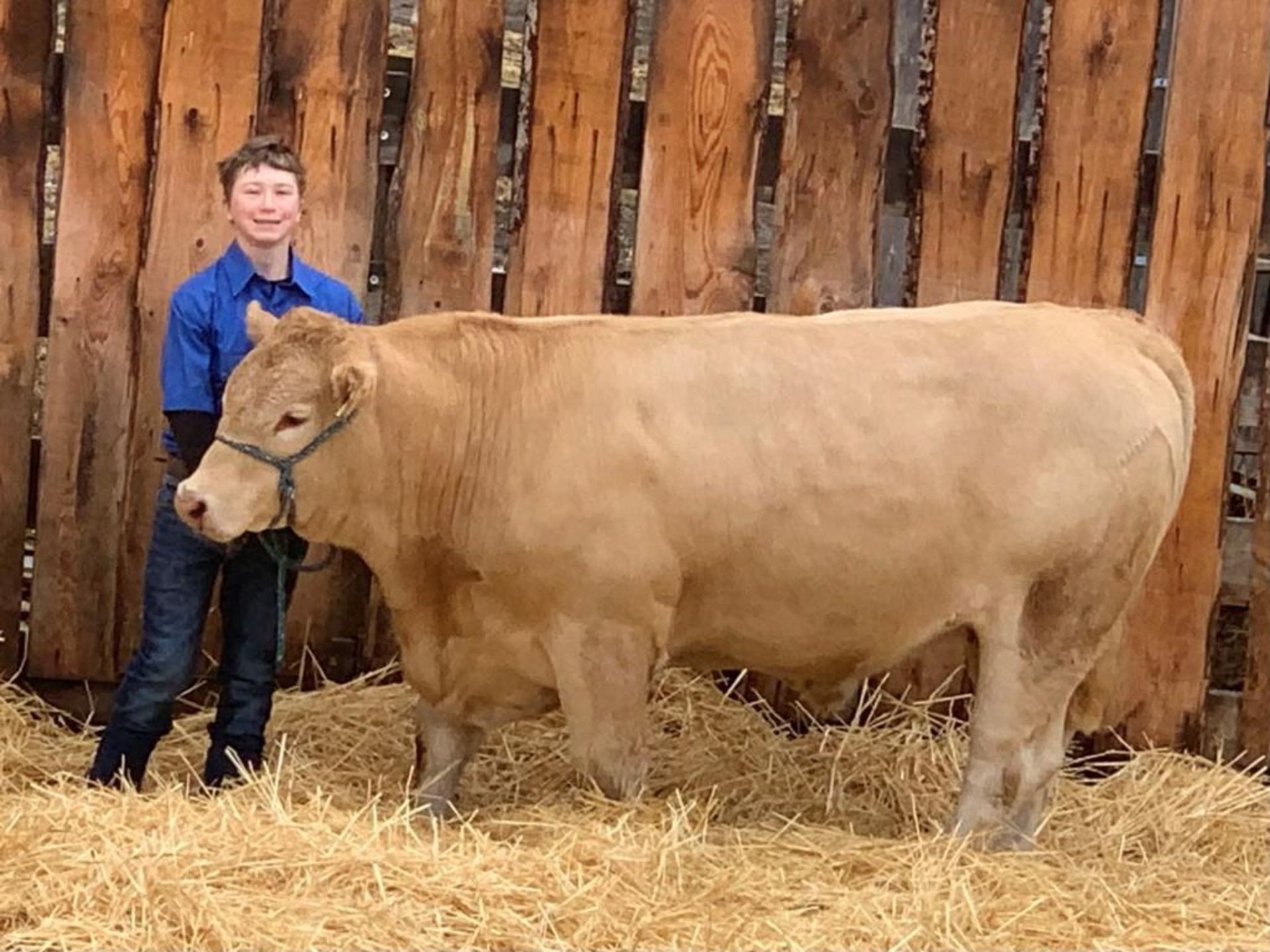 Justin Ference - Charolais Cross Steer "Drake" - Weight 1370 Lbs