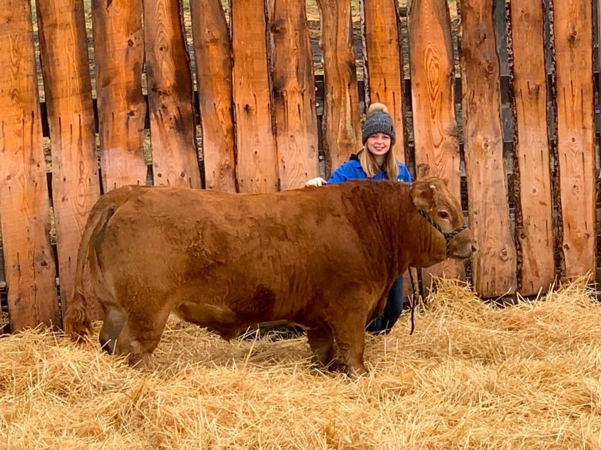 Brieann Sinnott - Angus x Charolais Steer "Captain" - Weight 1280 Lbs