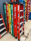 Werner Fiberglass 6' Step Ladder