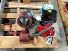 Lot o f (2) Asst. Valves, (2) Asst. Pumps, (1) Electric Motor