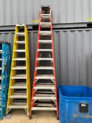 Werner Fiberglass 12' Step Ladder