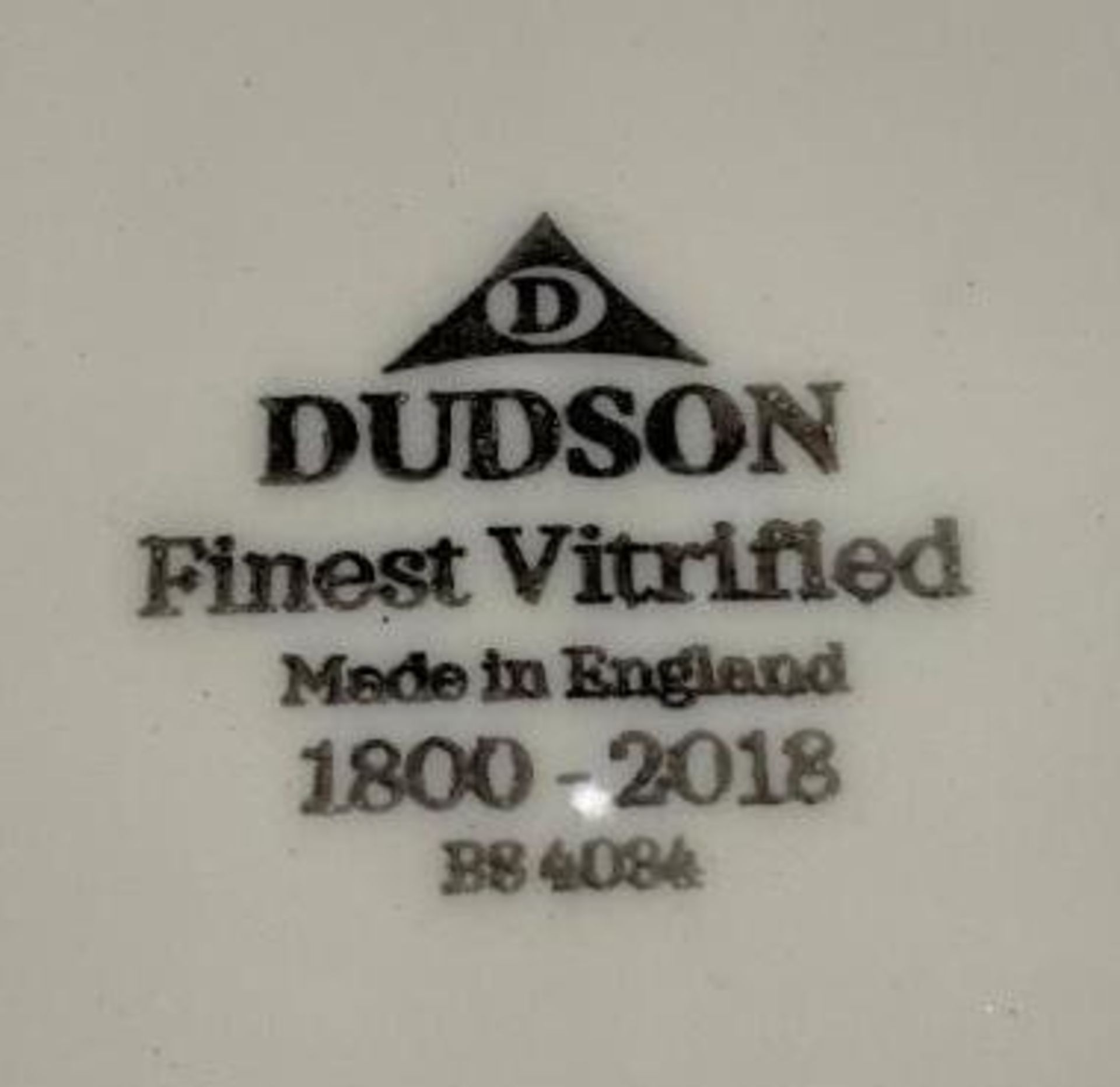 4 CASES OF DUDSON MOSAIC GREEN 11 1/8" PLATES - 12/CASE, MADE IN ENGLAND - Image 4 of 7