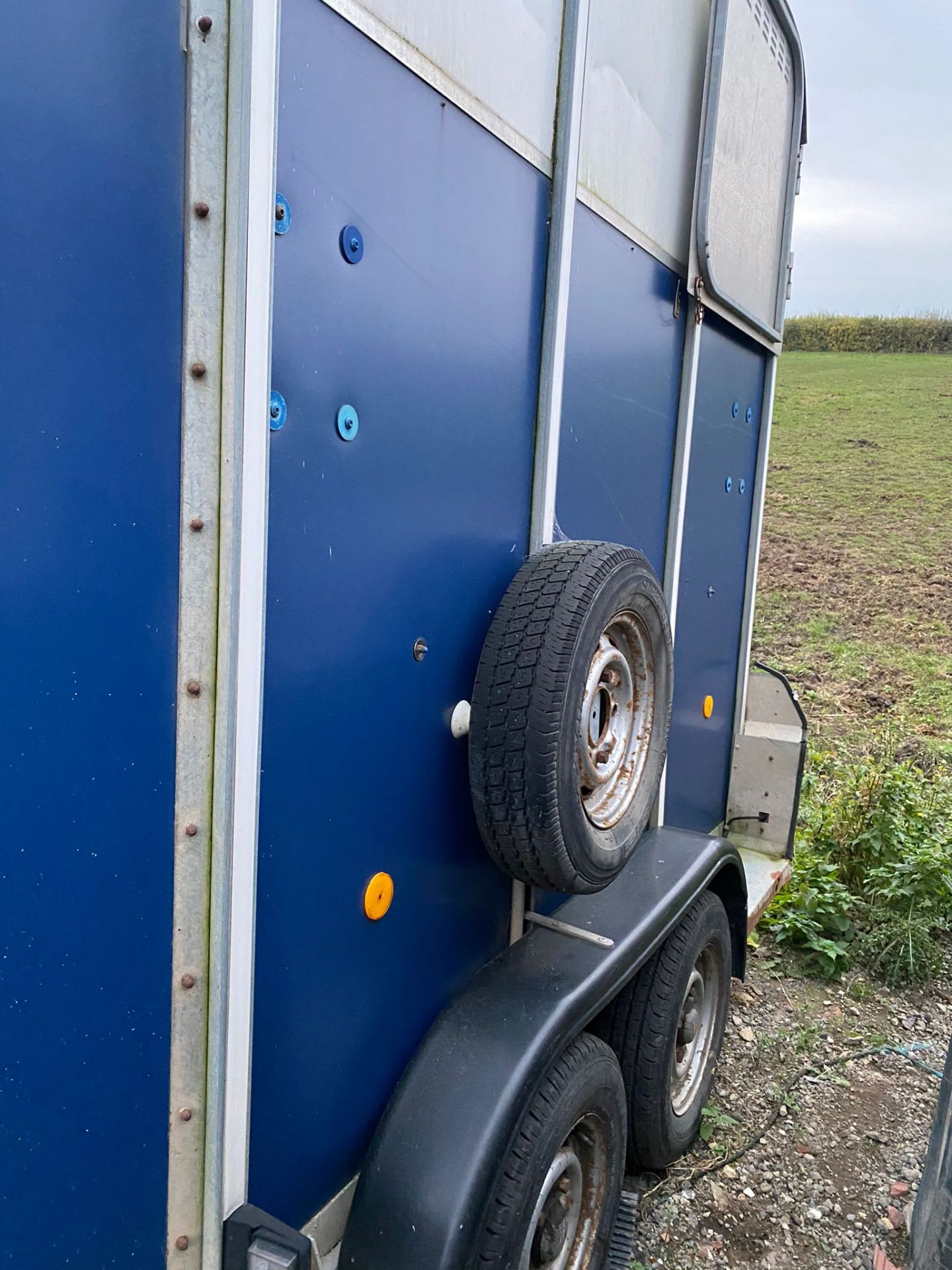 IFOR WILLIAMS HB510 HORSEBOX.LOCATION NORTH YORKSHIRE. - Image 6 of 6