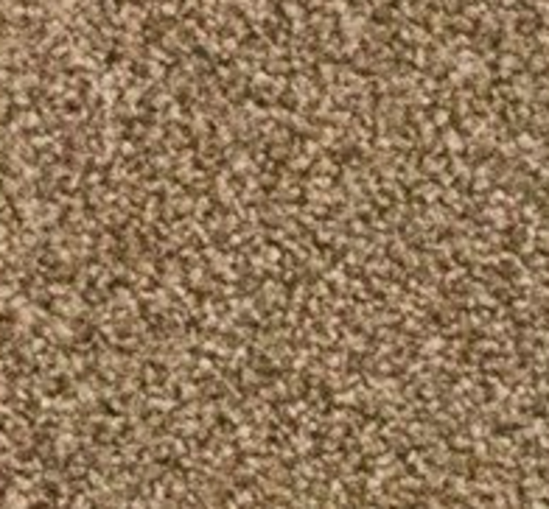 RRP £230 Bagged And Rolled Duches Supreme Oak 4M X2.5M Carpet (087761)