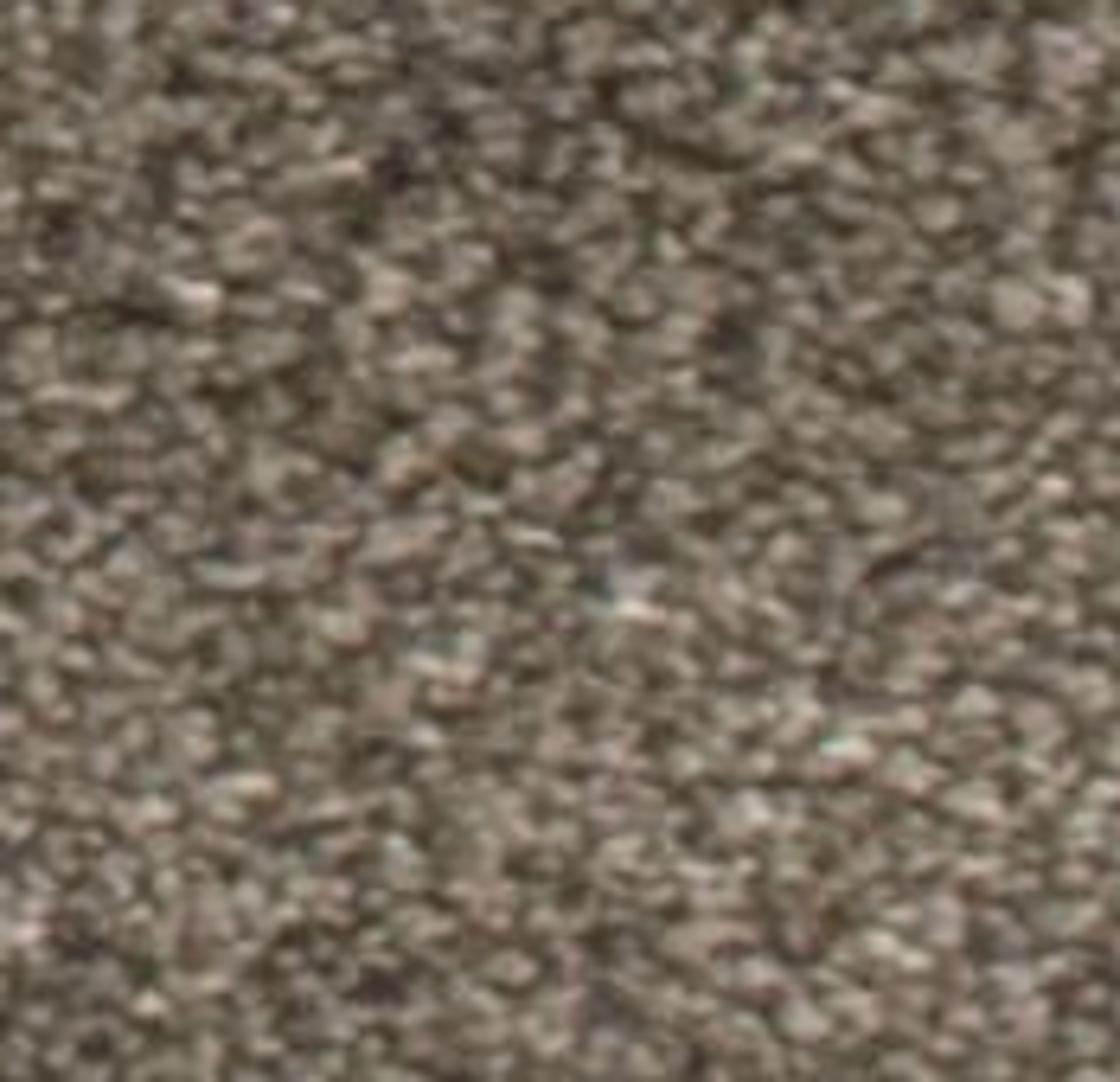 RRP £760 Bagged And Rolled Jasmine Strom 5M X 5.47M Carpet (060655)