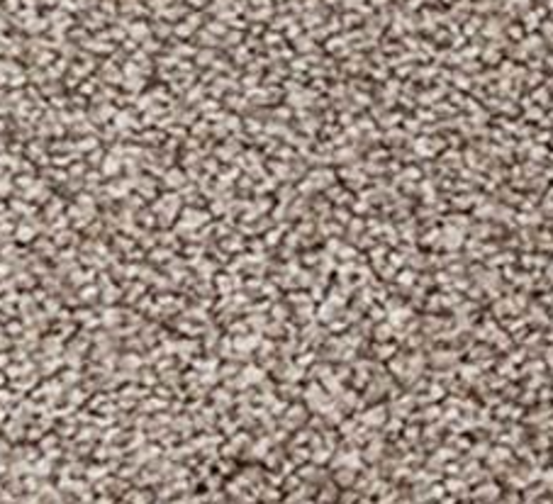 RRP £240 Bagged And Rolled Emperor Mink 5M X 1.5M Carpet (096093)