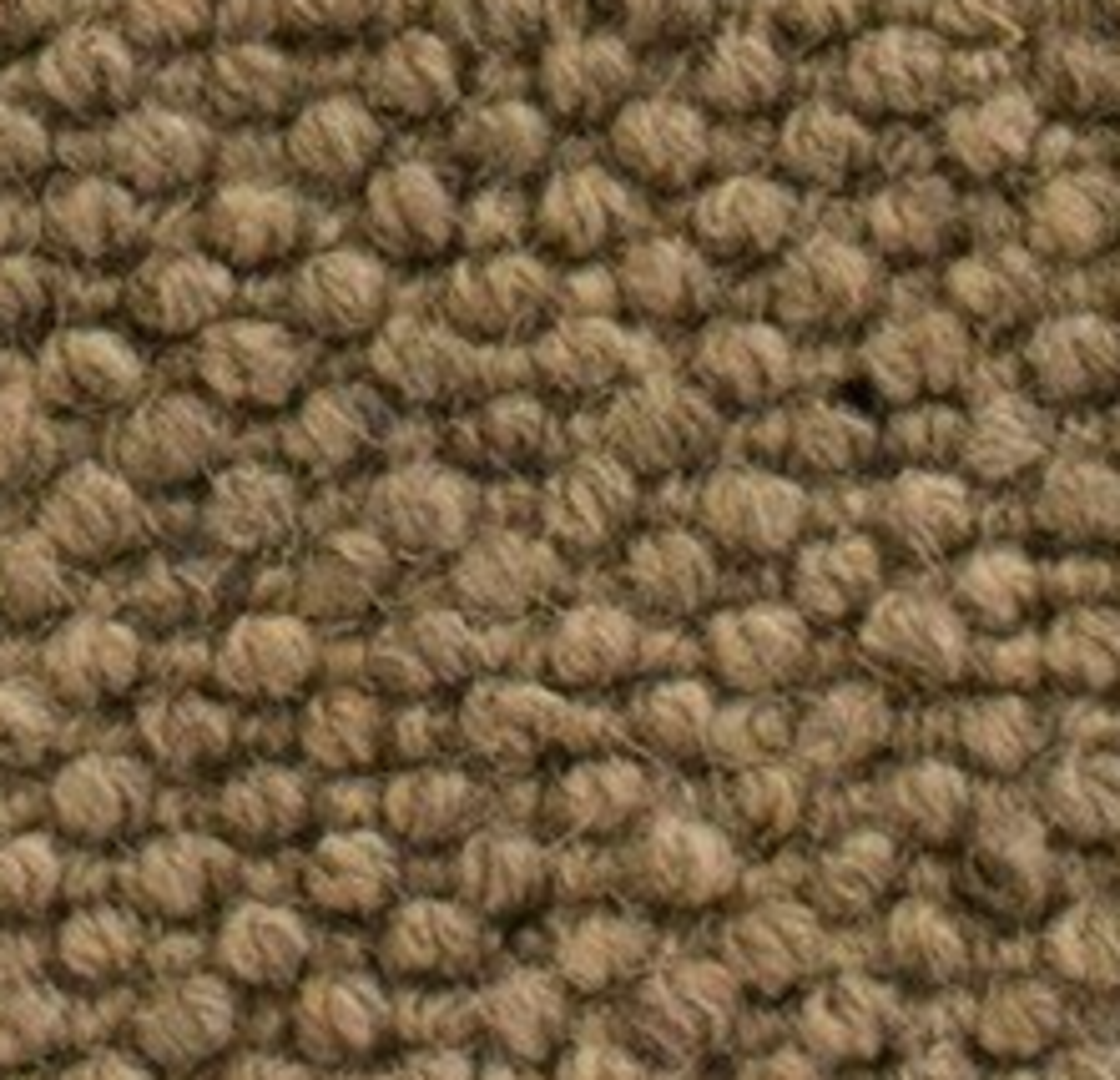 RRP £670 Bagged And Rolled Dakota Squirrel 4M X 4.19 M Carpet (051960)