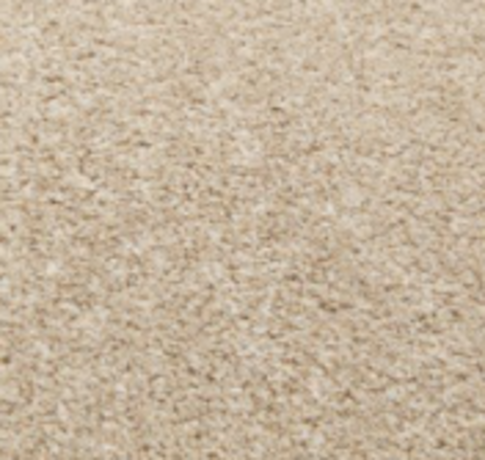 RRP £100 Bagged And Rolled San Marino Beige 5M X 1.3M Carpet (92012) (Appraisals Available On