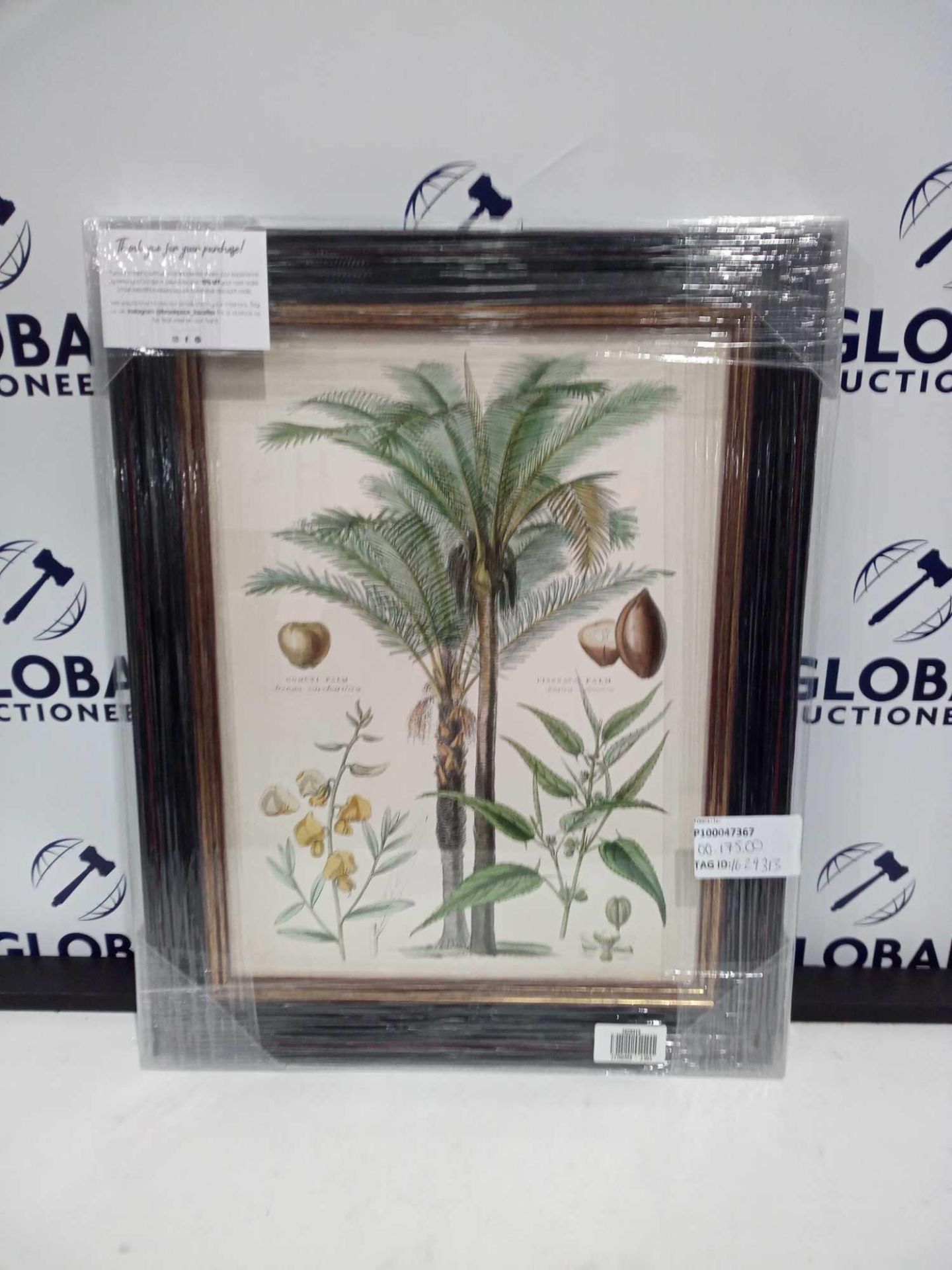 RRP £175 John Lewis Fruitful Palm Framed Print