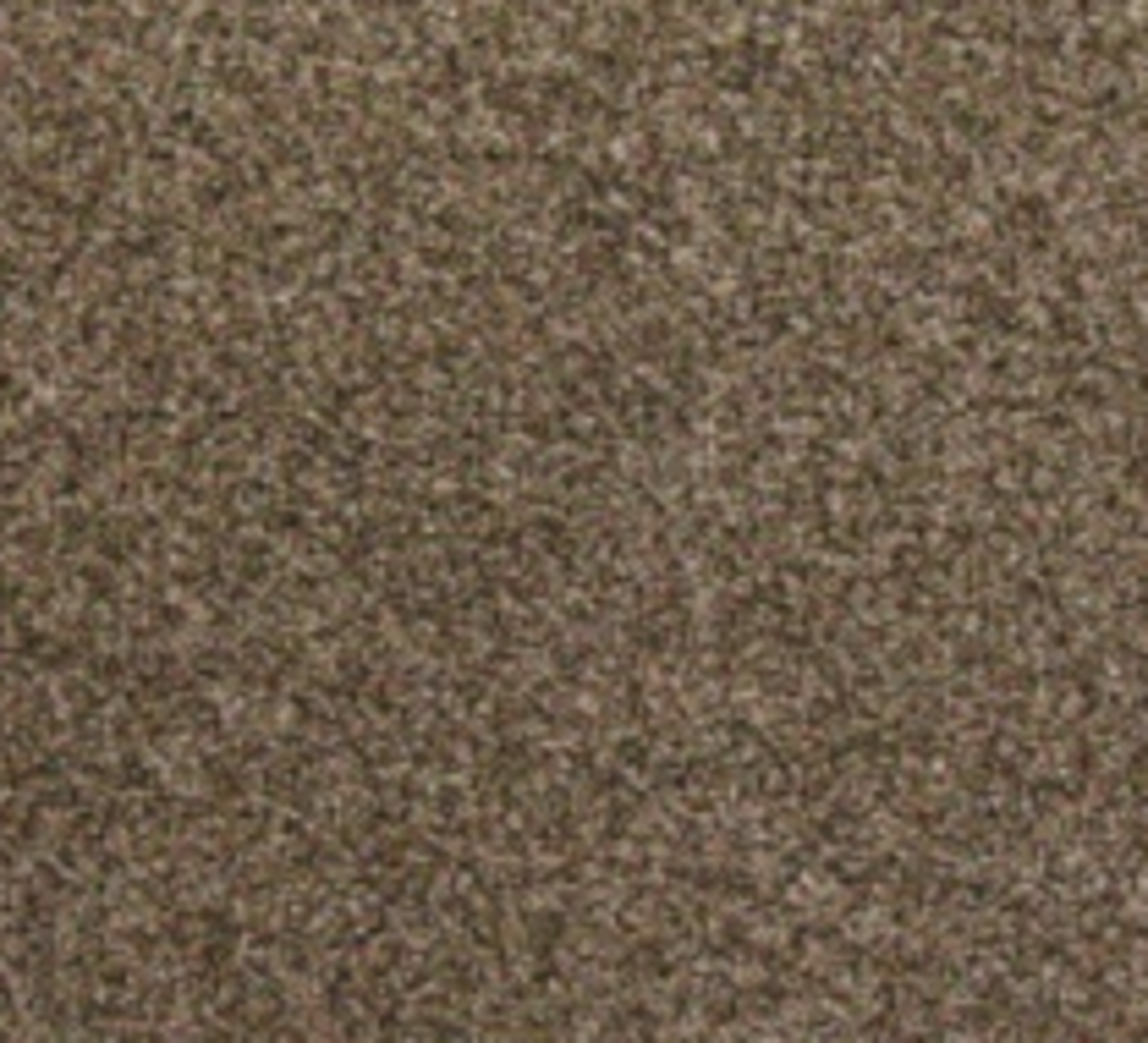 RRP £650 Bagged And Rolled Aldwytch Twist Festival 5M X 2.67M Carpet (040831) (Appraisals