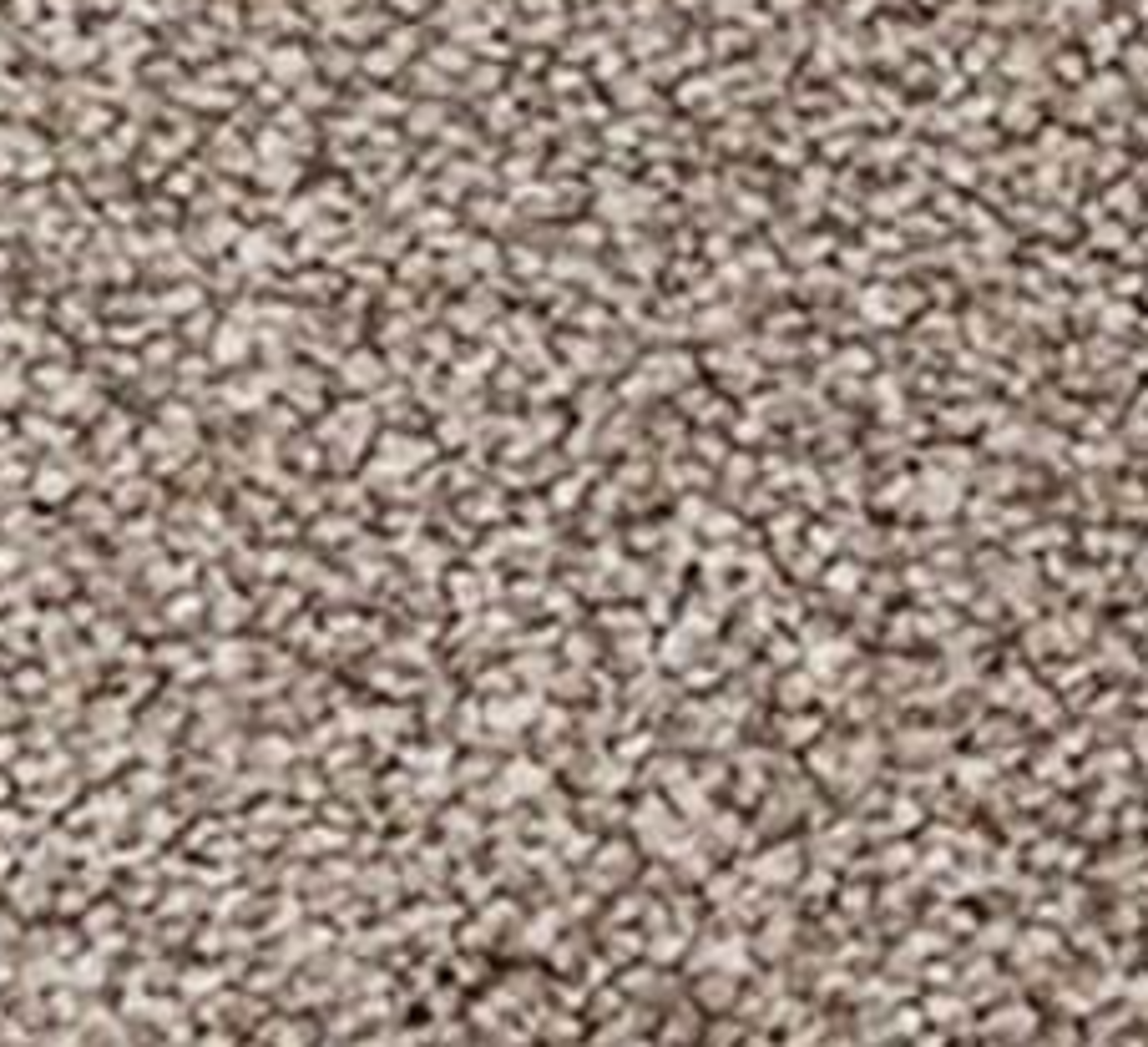 RRP £240 Bagged And Rolled Emperor Mink 5M X 1.5M Carpet (096093) (Appraisals Available On