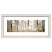 RRP £120 Sealed John Lewis Morning Woodland Panoramic By Mike Shepherd Framed Print