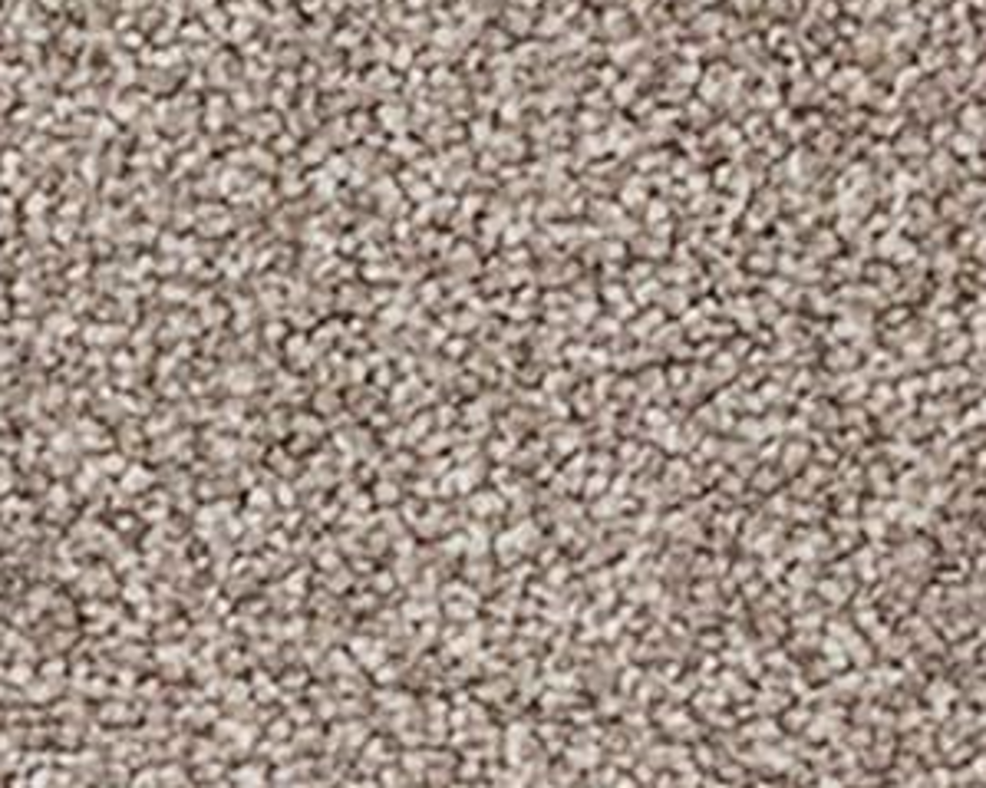 RRP £290 Bagged And Rolled Emperor Mink 4M X 1.88M Carpet(054692) (Appraisals Available On