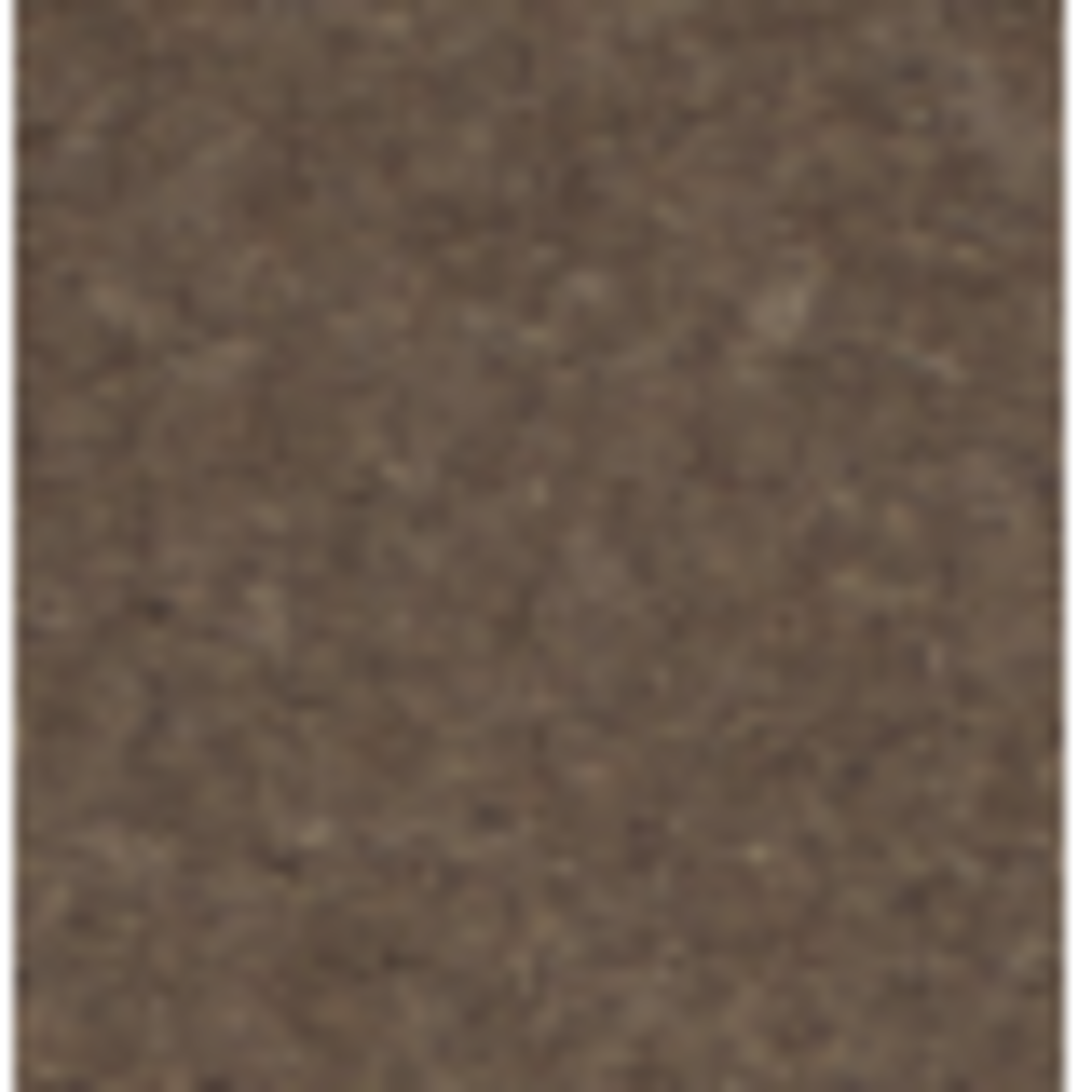 RRP £380 Bagged And Rolled Cardinal Chocolate 5M X 2.11M Carpet (057571)