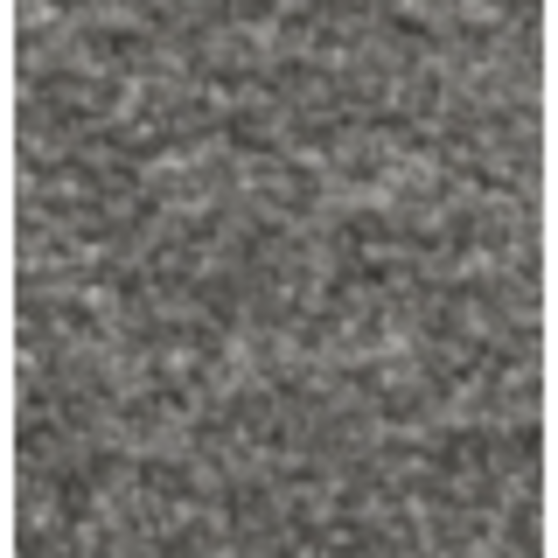 RRP £385 Bagged And Rolled Oyster Cove Grey 5M X 1.45M Carpet (082151)