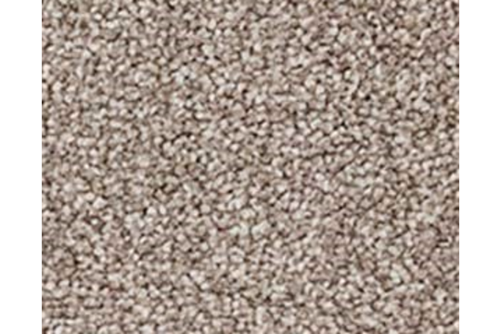 RRP £290 Bagged And Rolled Emperor Mink 4M X 1.88M Carpet(054692)