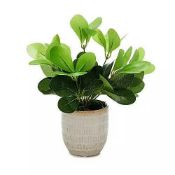 RRP £200 Lot To Contain 10 Brand New Faux Plant In Textured Pot