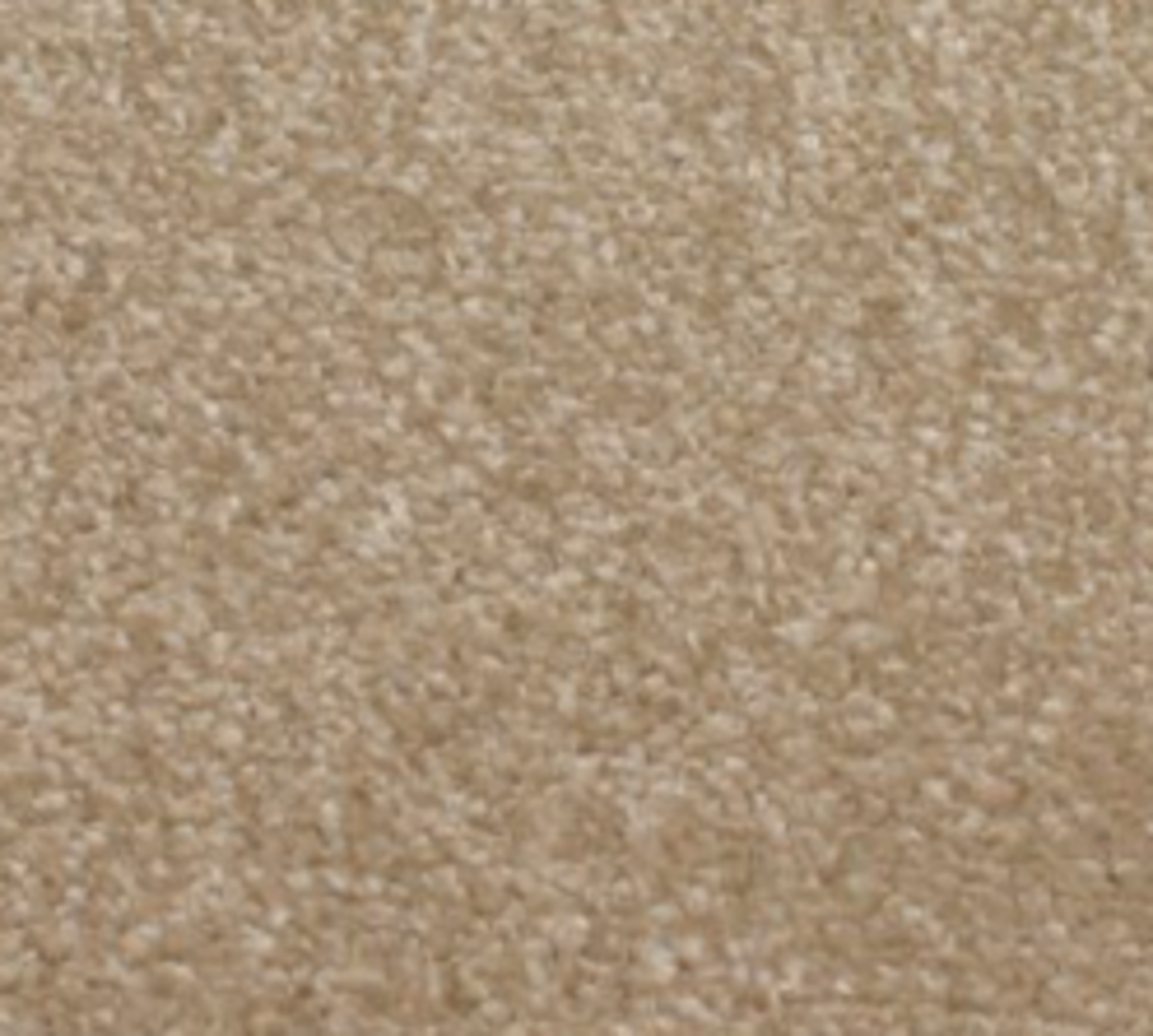 RRP £270 Bagged And Rolled Odessa Camel 4M X 4.16M Carpet (154548)