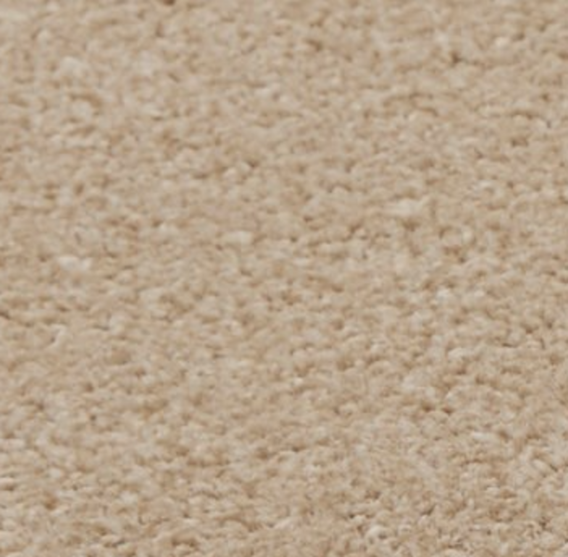 RRP £1400 Bagged And Rolled Knightbridge Biscuit 5M X 7.7M Carpet (996936)