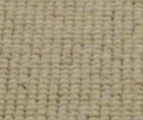RRP £270 Bagged And Rolled Thaxted Parchment 5M X 2.70M Approx (156624) (We Do Not Ship Carpets)