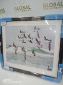 RRP £110 John Lewis The Blue Footed Booby Framed Wall Print.