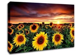 RRP £150 Large Rectangular Sunny Meadows Sunflower Canvas Wall Art