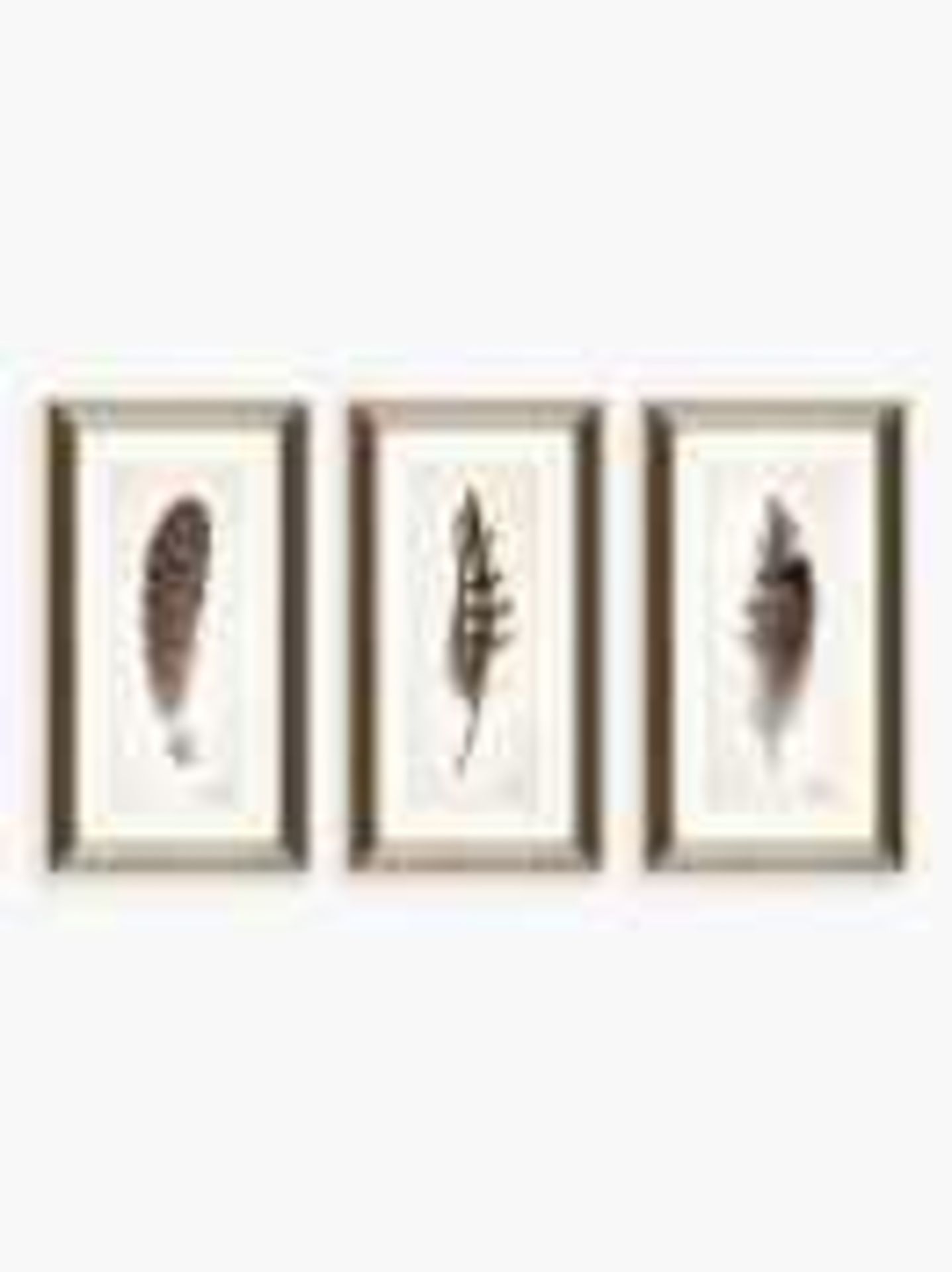 RRP £150 Wrapped John Lewis And Partners Linda Wood Feathers Framed Prints And Mounts Set Of 3 67 X