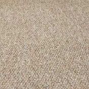 RRP £150 Bagged And Rolled Marrakesh 5m x 1.48m Mocha Carpet (053140) (We Do Not Ship Carpets)