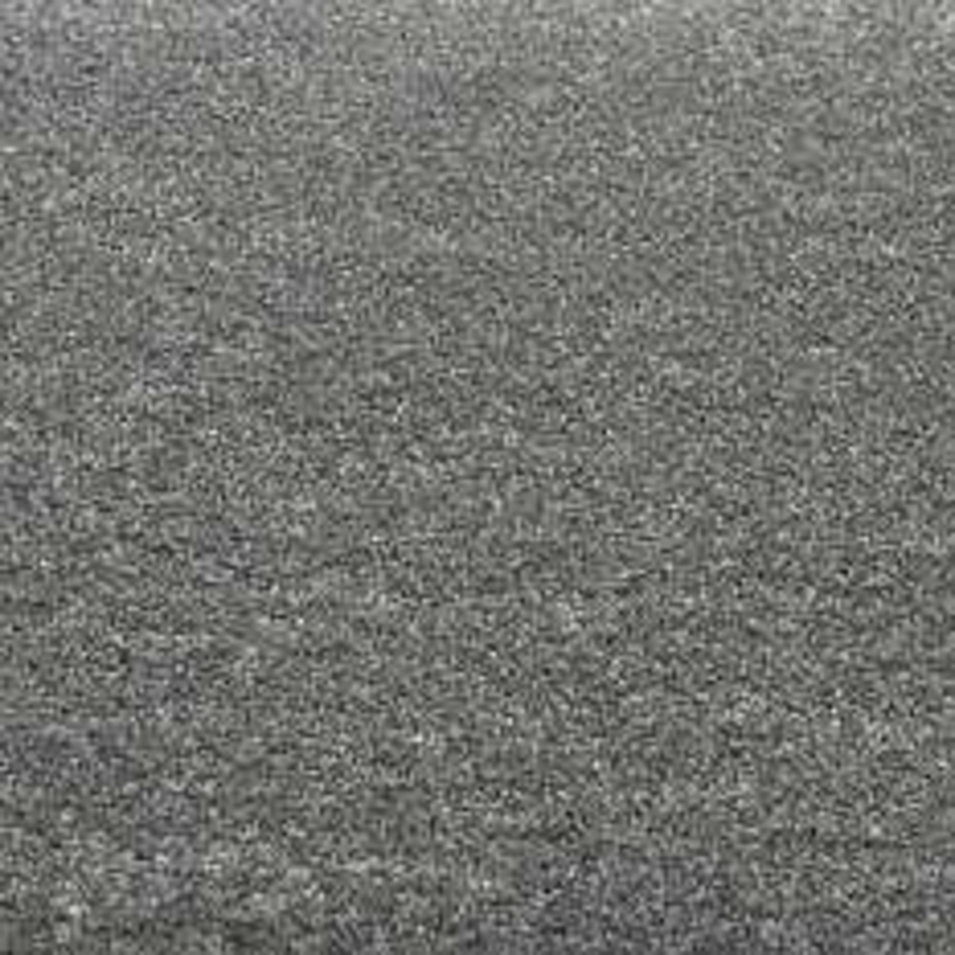 RRP £145 Bagged And Rolled Houston Cuts 950 Grey 4m x 1.72m Carpet (090252) (We Do Not Ship
