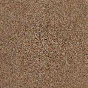 RRP £335 Bagged And Rolled Light Brown Chocolate 4m x 4m Carpet (088234) (We Do Not Ship Carpets)
