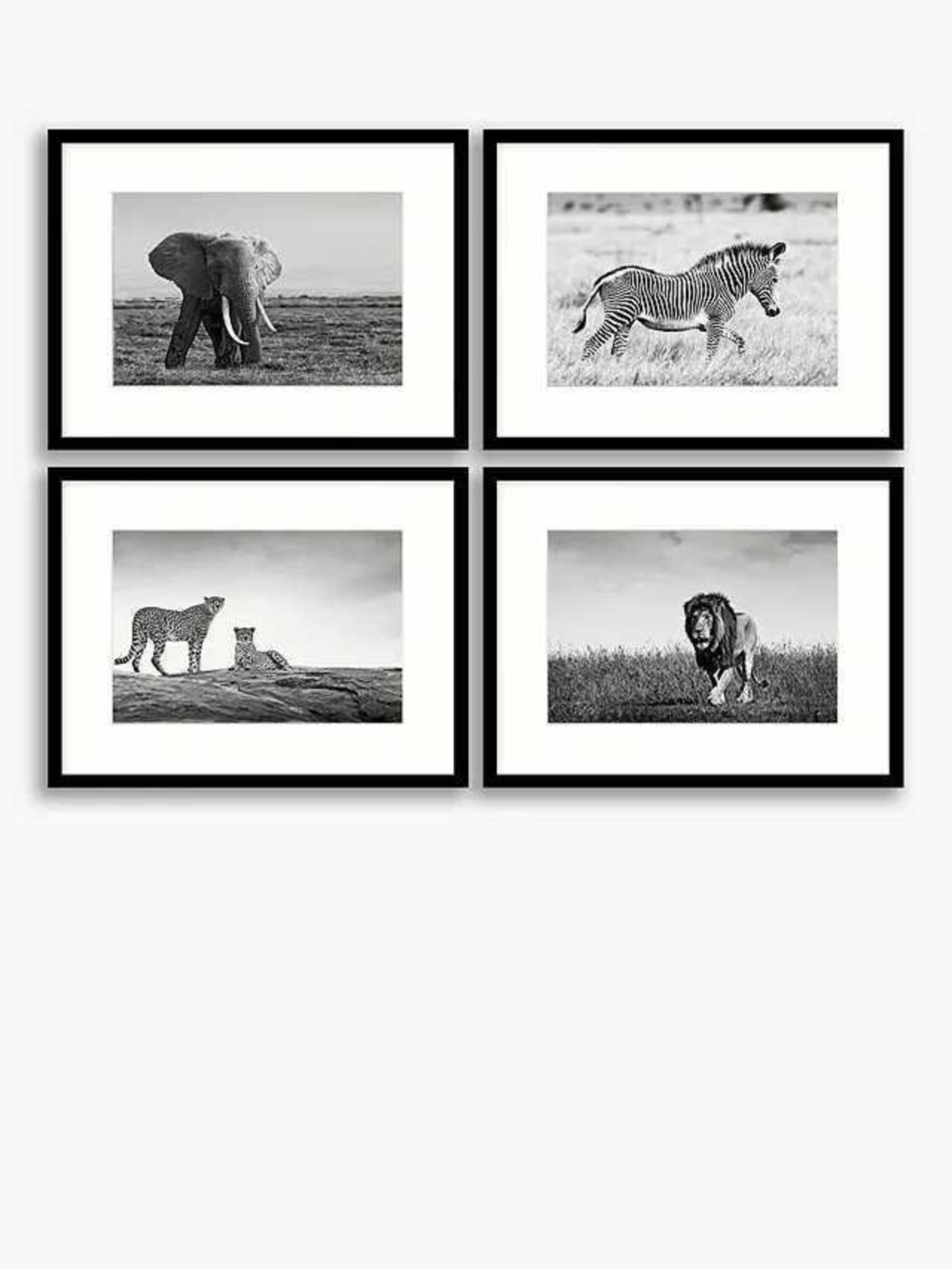 (Ar) RRP £130 Bagged On The Plains - African Animals Framed Print And Mount, Set Of 4, 32 X 42Cm, Bl