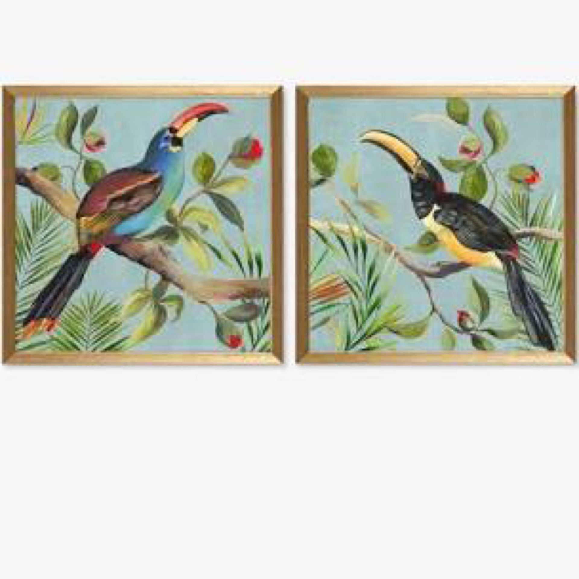 Combined RRP £80 Lot To Contain 2 Paradise Toucan Aimee Wilson Wall Art Picture 4285957 (Appraisal