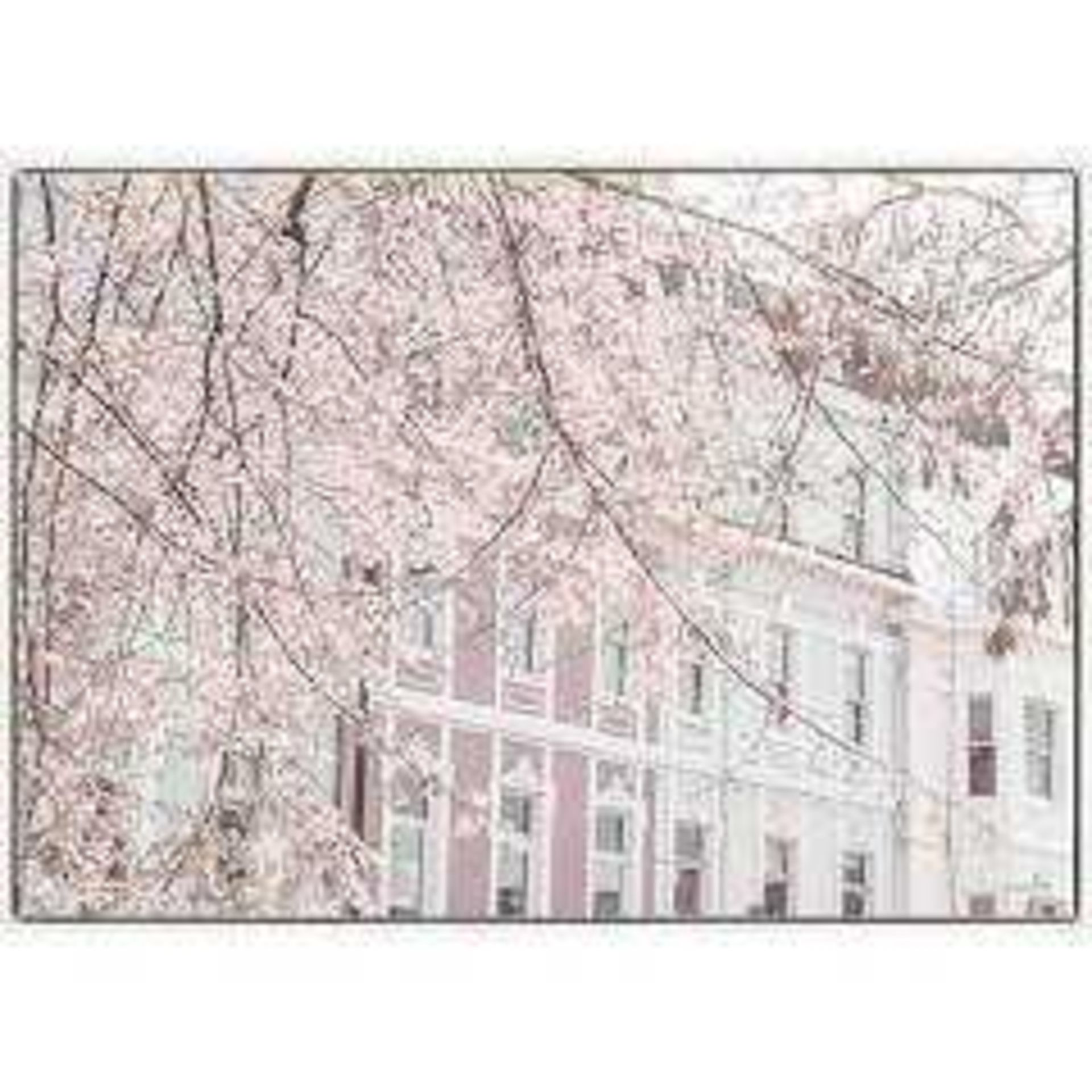 RRP £130 Notthinghill By Artist Assaf Frank Cherry Blossom Wall Art Picture 4594123 (Appraisals