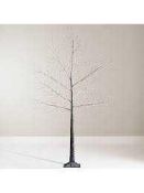 RRP £90 Boxed John Lewis And Partners 1M Prelit Brown Birch Tree (51703) (Appraisals Are Available