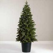 RRP £160 Lot To Contain Boxed John Lewis And Partners 5Ft 5 Pre Lit Potted Bala Christmas Tree (