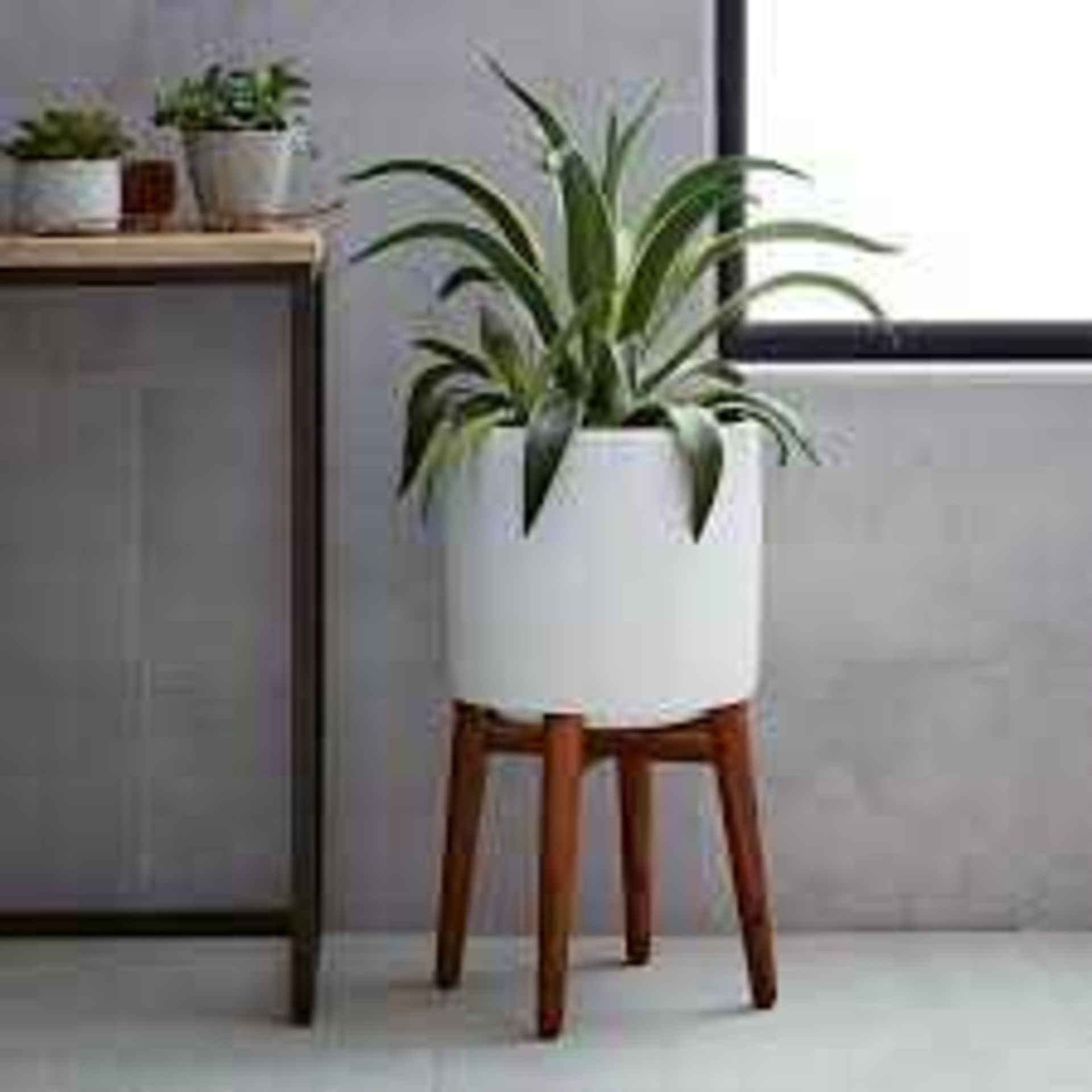 RRP £130 West Elm Mid Century Tall Leg Turned Wooden Planter (573131) (Appraisals Available On
