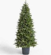 RRP £180 Boxed John Lewis And Partner 5Ft Prelit Potted Topiary Christmas Tree (26.179) (