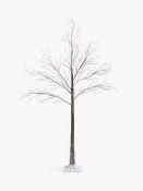 RRP £90 Boxed John Lewis And Partners Prelist 6Ft Brown Birch Tree (680212) (Appraisals Available On