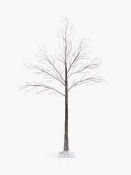 RRP £90 Boxed John Lewis And Partners Prelist 6Ft Brown Birch Tree (720348) (Appraisals Available On