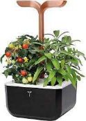 RRP £150 Boxed Veritable Exky Smart Edition Indoor Garden Planter