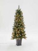 RRP £130 Boxed John Lewis And Partners 4.5 Ft Pre-Lit Potted St Anton Christmas Tree