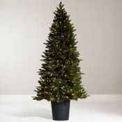 RRP £230 Boxed John Lewis And Partners 7Ft Peruvian Pine Christmas Tree(1194459) (Appraisals