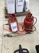 2 x Propane bottles with 3 torches