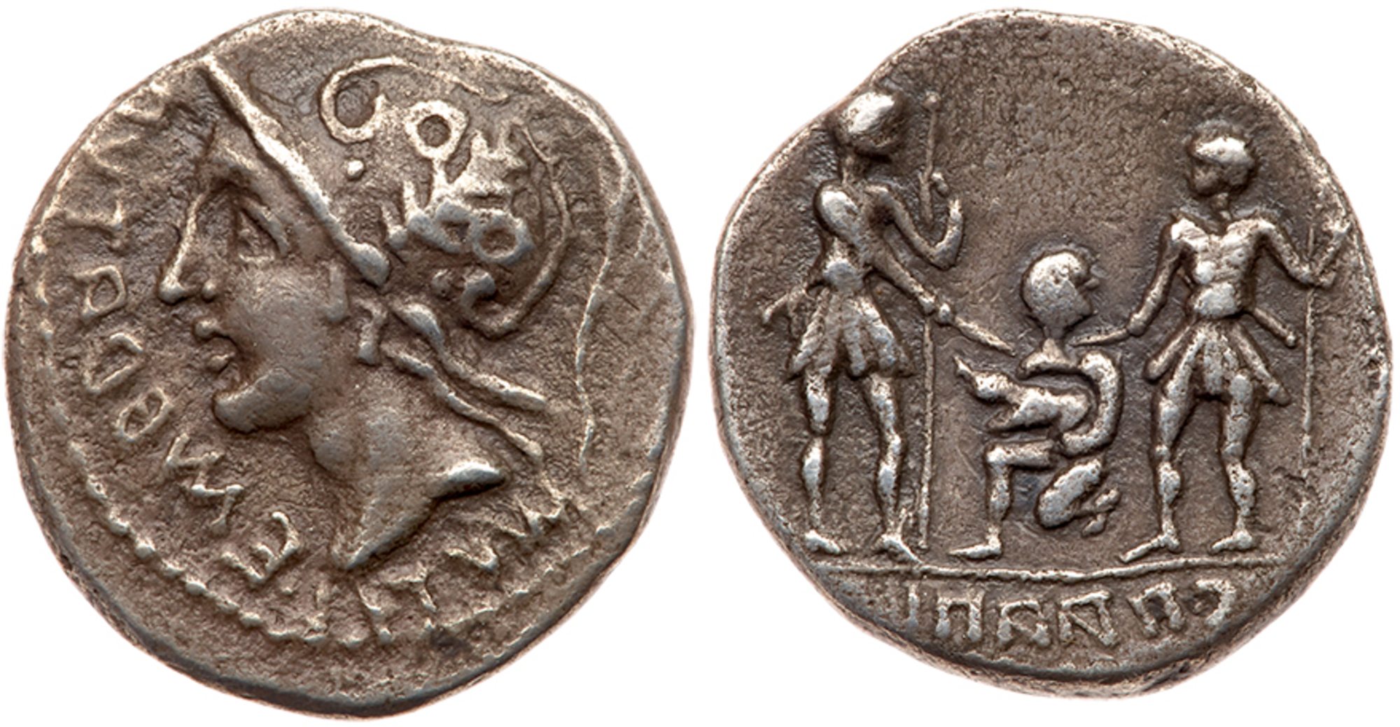 Social War. C. Paapius. Silver Denarius (3.65 g), 90 BC