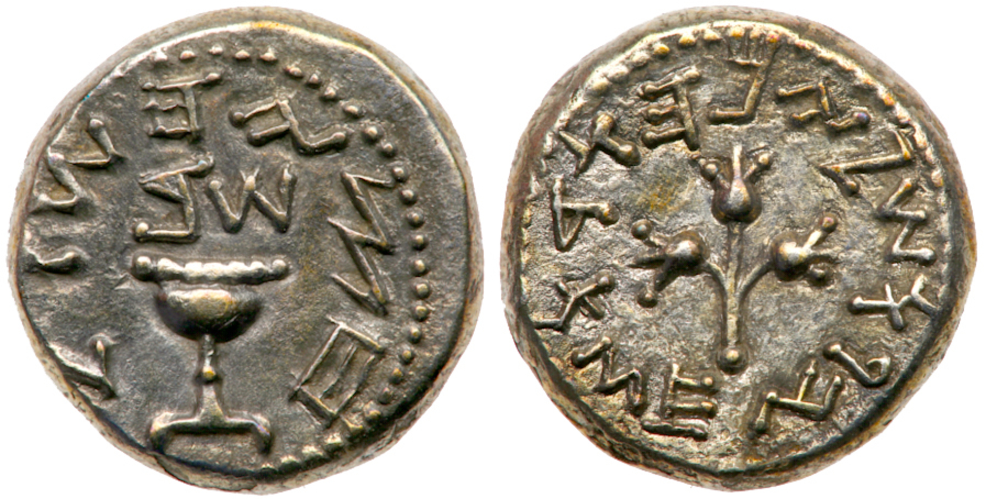 Judaea, The Jewish War. Silver Â½ Shekel (6.91 g), 66-70 CE. EF