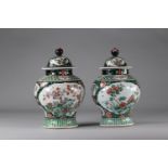 Pair of covered famille verte vases with vegetal decoration.