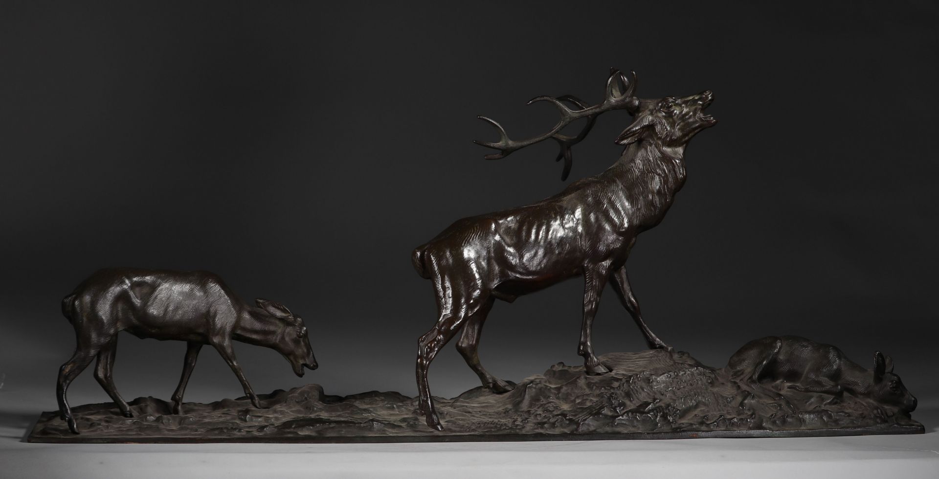 Imposing bronze "the stag and the hinds" signed Mene